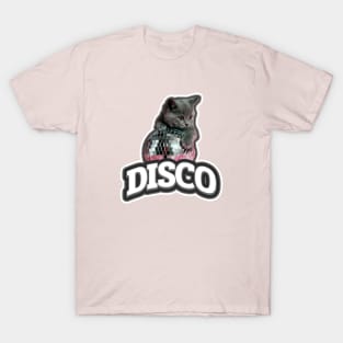 DISCO - Kitty T-Shirt